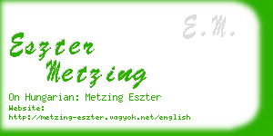 eszter metzing business card